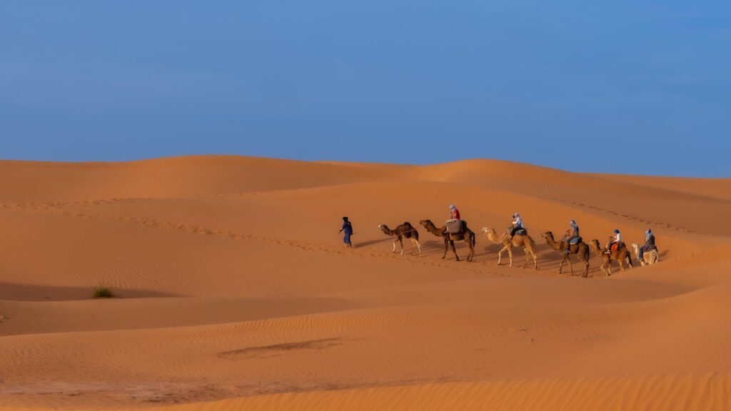 Grandes dunes du désert marocain près de M’Hamid et de l’erg Chegaga