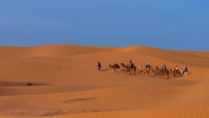 Grandes dunes du désert marocain près de M’Hamid et de l’erg Chegaga
