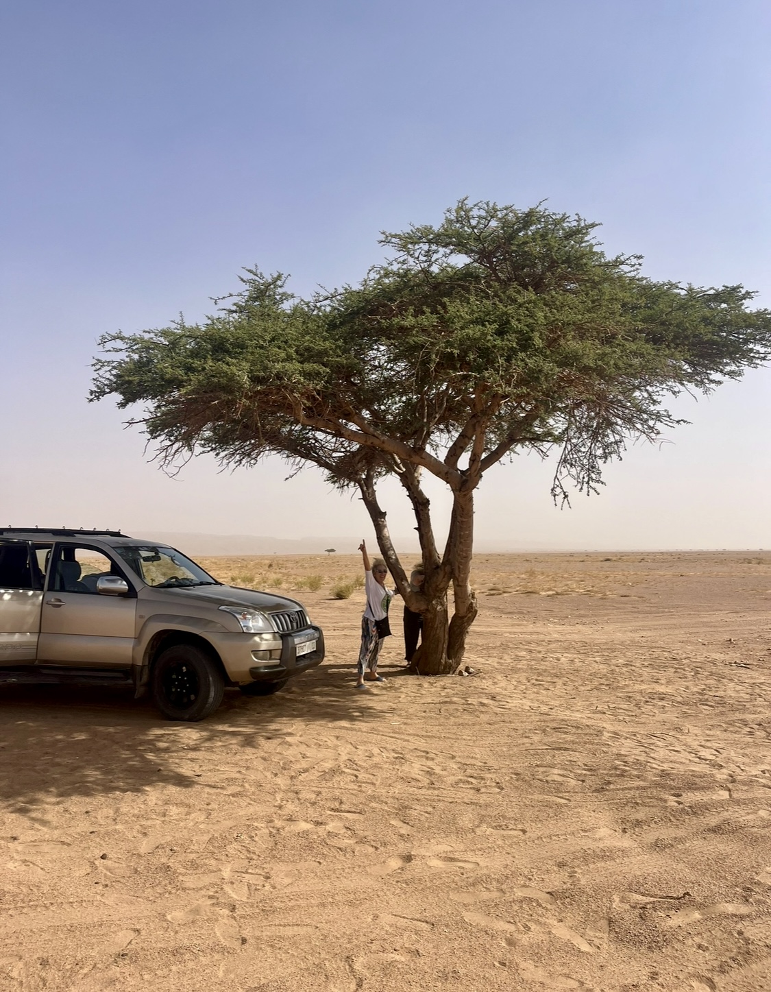 Pause du 4x4 du Bivouac Luna sous un acacia sur le chemin de Chegaga