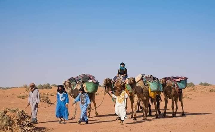 Caravane de dromadaires guidée par des nomades vers le Bivouac Luna près de M’Hamid