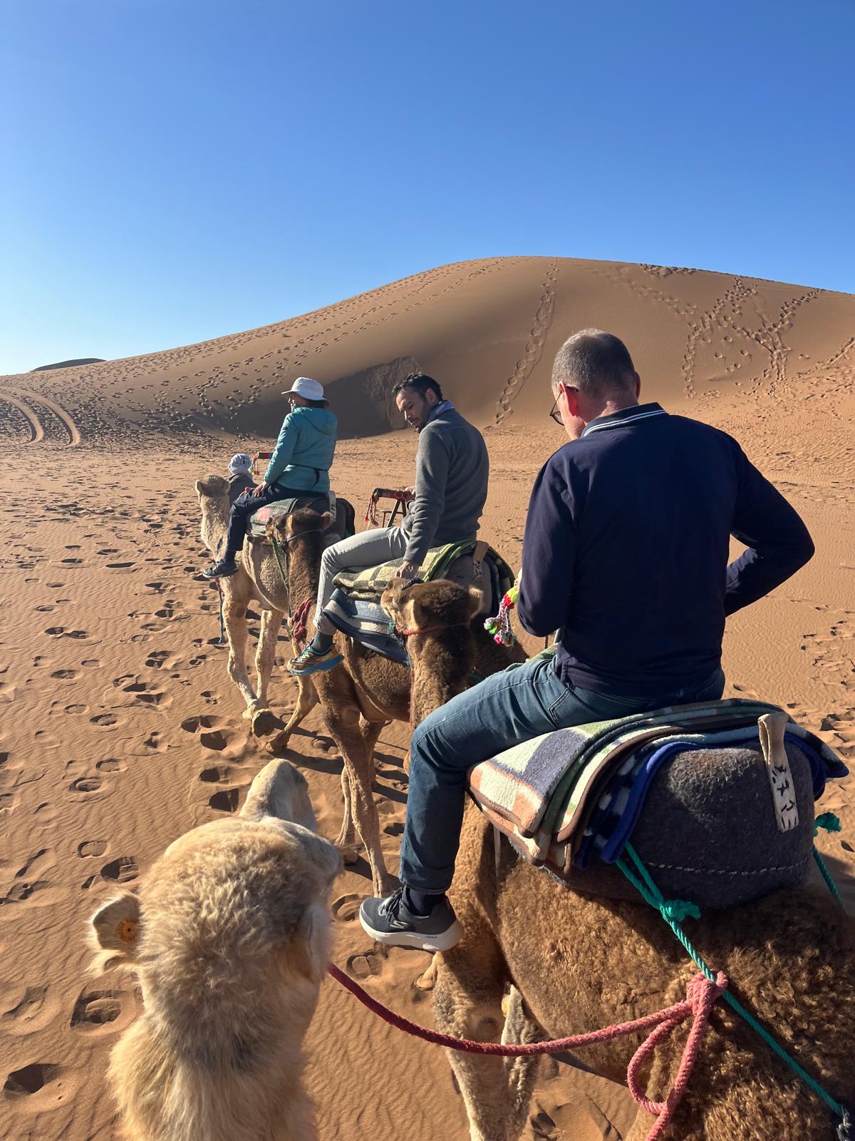 Voyageurs à dos de dromadaire dans les dunes près du Bivouac Luna