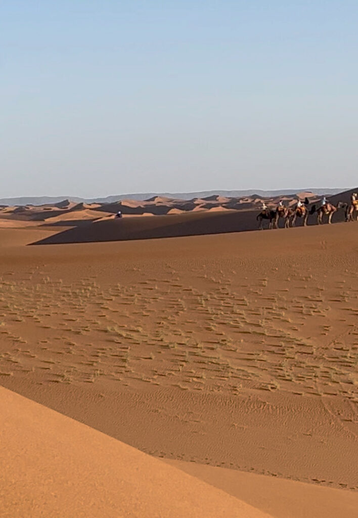 Caravane de dromadaires dans les dunes de l’erg Chegaga près de M’Hamid