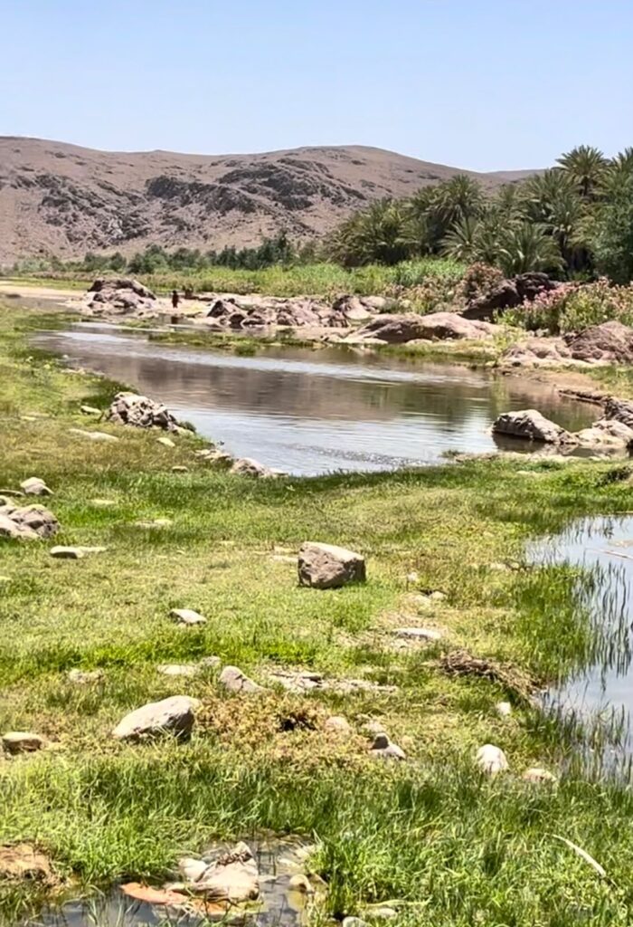Point d’eau et palmeraie de l’oasis de Fint près de Ouarzazate dans le sud marocain