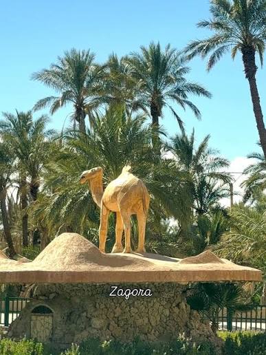 Zagora, étape vers le désert du sud marocain